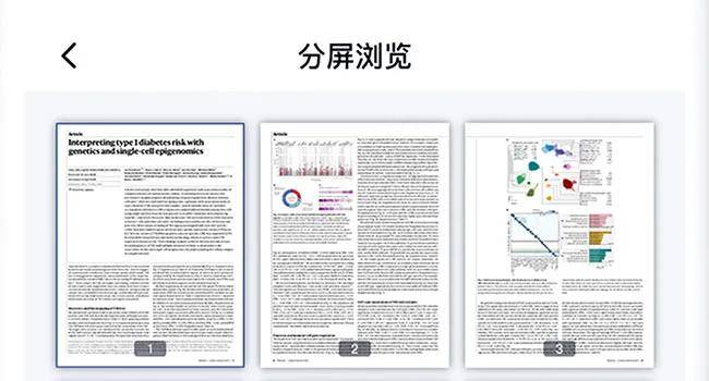 2024精準資料免費大全,快速解答方案設計_隨身版35.417