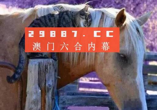 4949澳門特馬今晚開獎53期,藝術學歷史學數學_全景版35.362