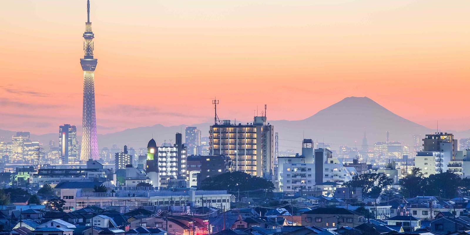 東京疫情最新人數(shù)，自然療愈與內(nèi)心平靜的尋找之旅