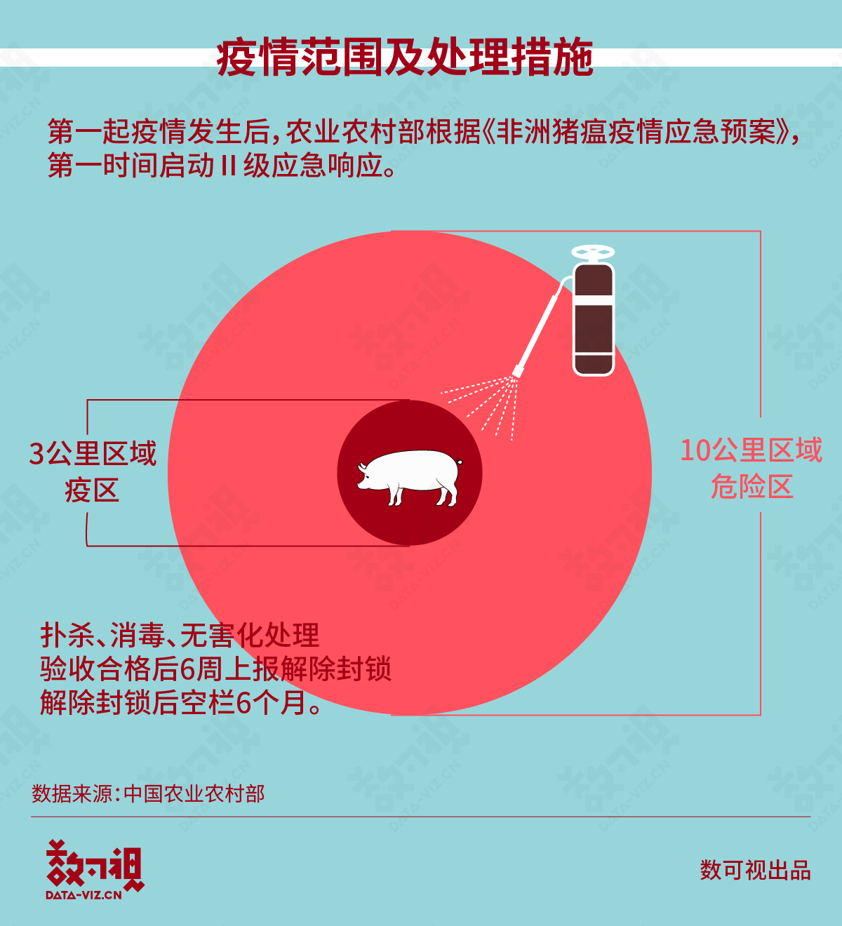 今日豬瘟疫情最新動態，希望與力量的匯聚