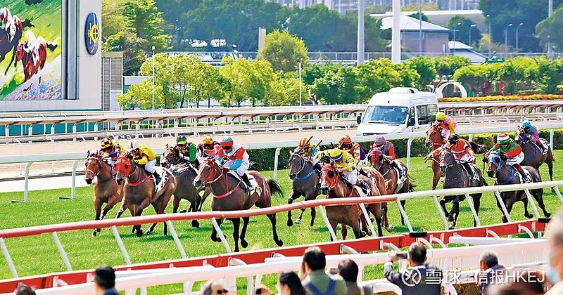 2024香港賽馬全年免費資料,實證數據分析_觸感版78.256