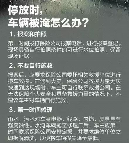 2025今晚澳門特馬開什么碼,專業解讀操行解決_預備版16.195