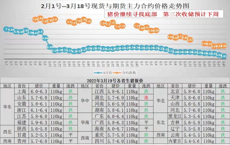 中國生豬最新報價格，科技智能領航畜牧業發展