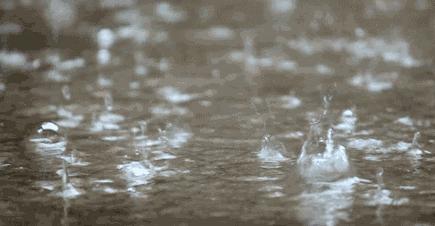 大連最新大雨