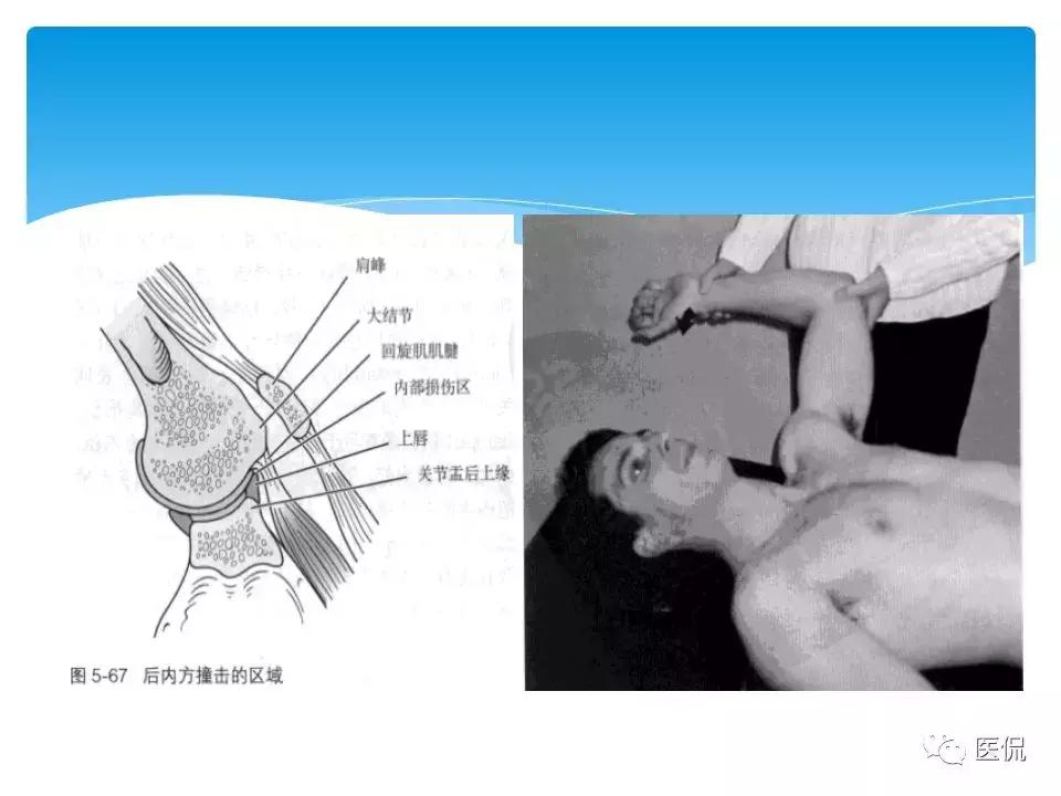 最新x疾病